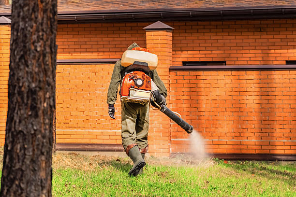 Bed Bug Clearance Verification and Documentation in Larch Way